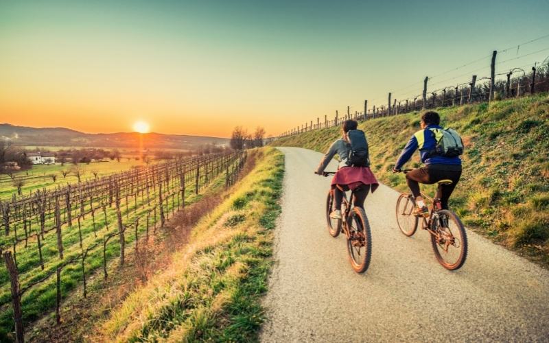 vtt-musculaire VTT électrique ou musculaire